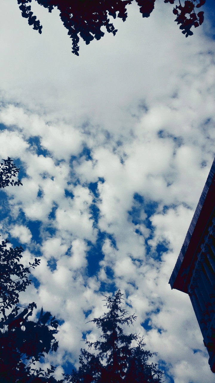 cloud