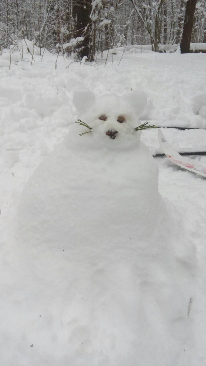 кошка Алиска
