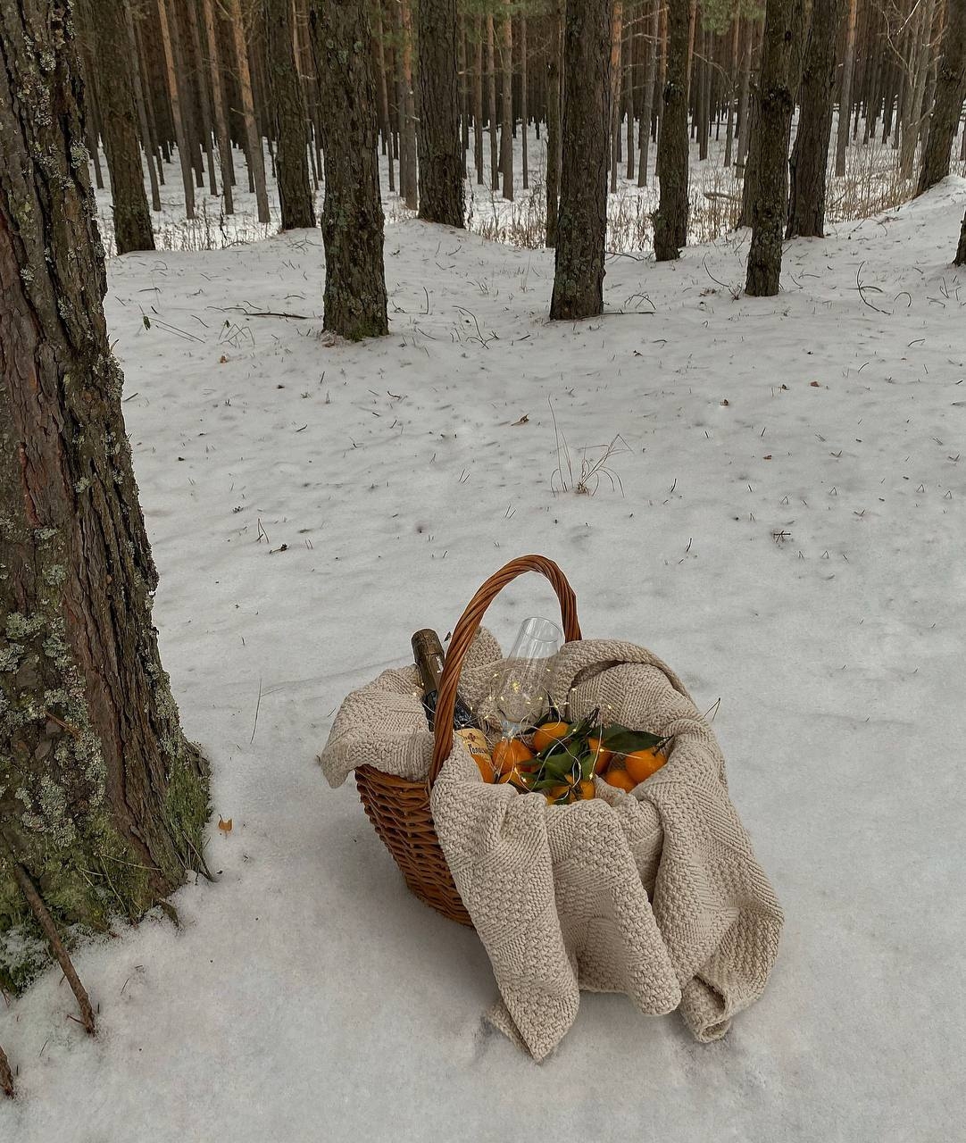 Deer, Winter, Snow