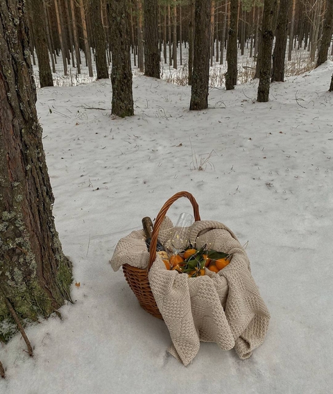 Deer, Winter, Snow