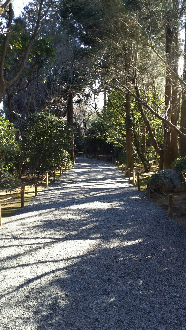 Japanese Garden