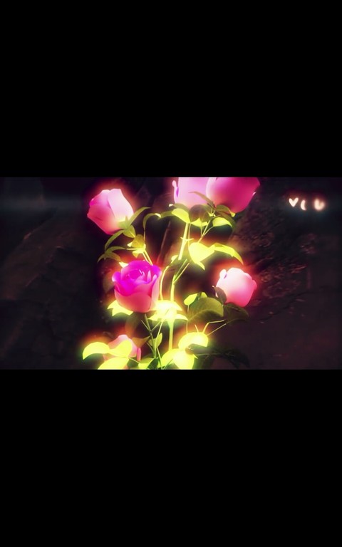 шпалери night, rose