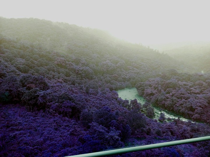 nature love