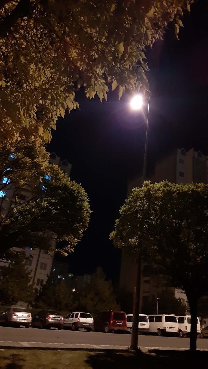 isik