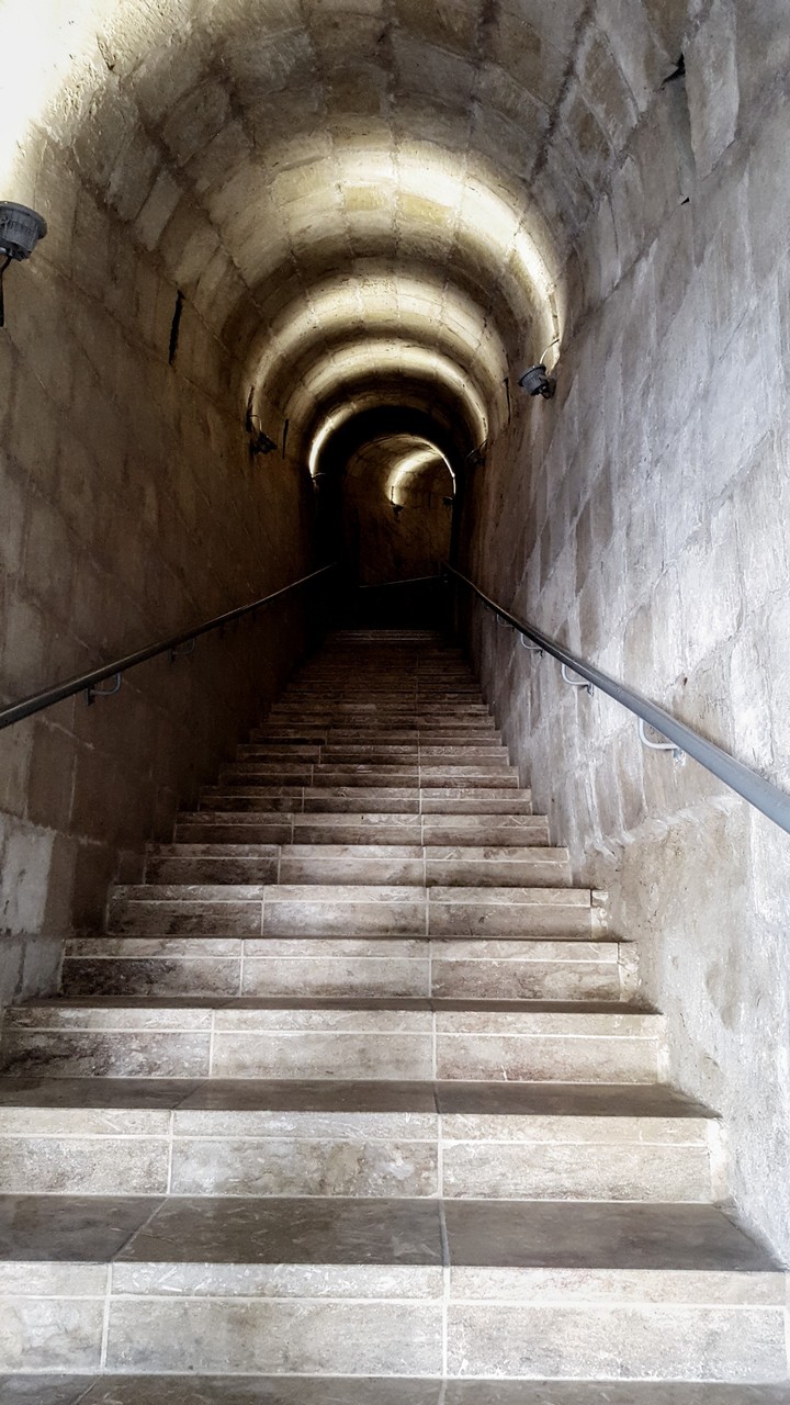 Cittadella
