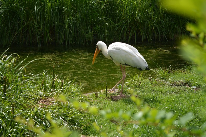 nature photography