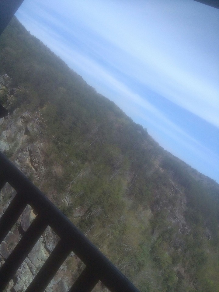 beautiful