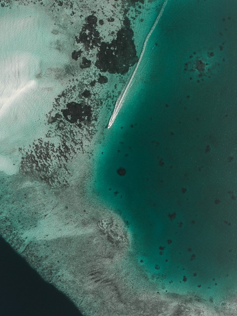 tapety cay, ocean