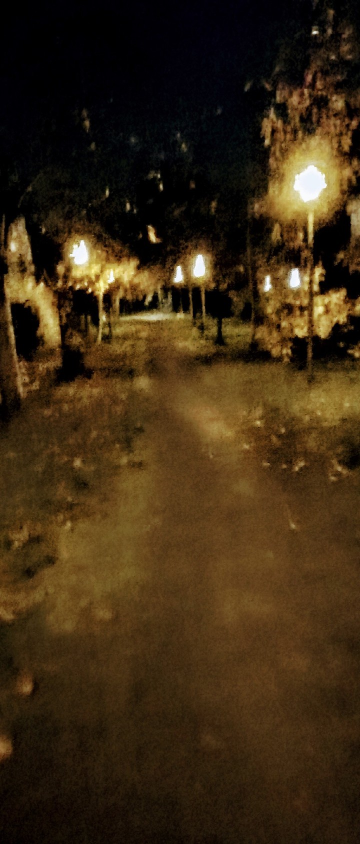 Light