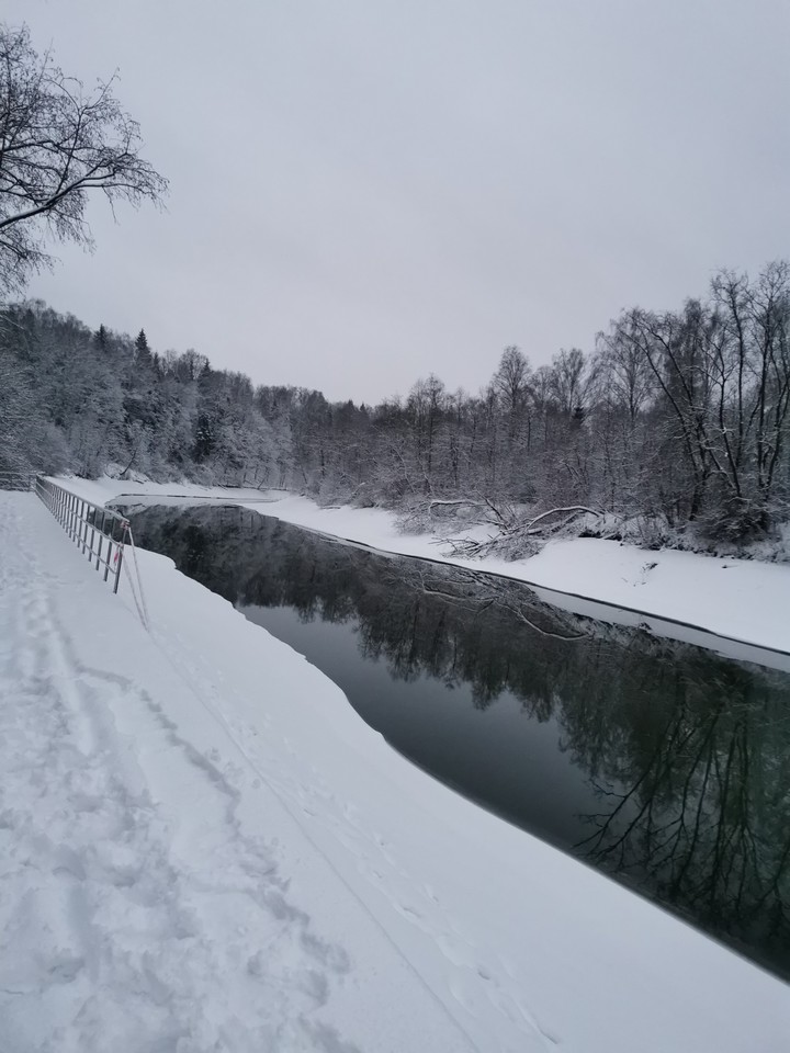 White world