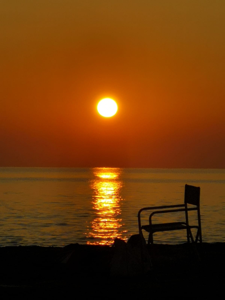 mare