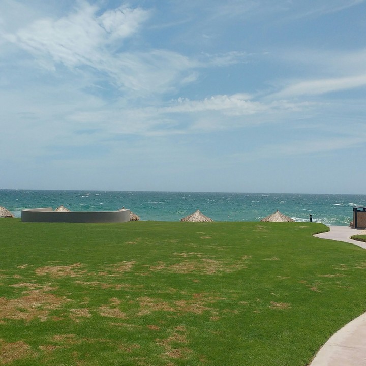 The ocean