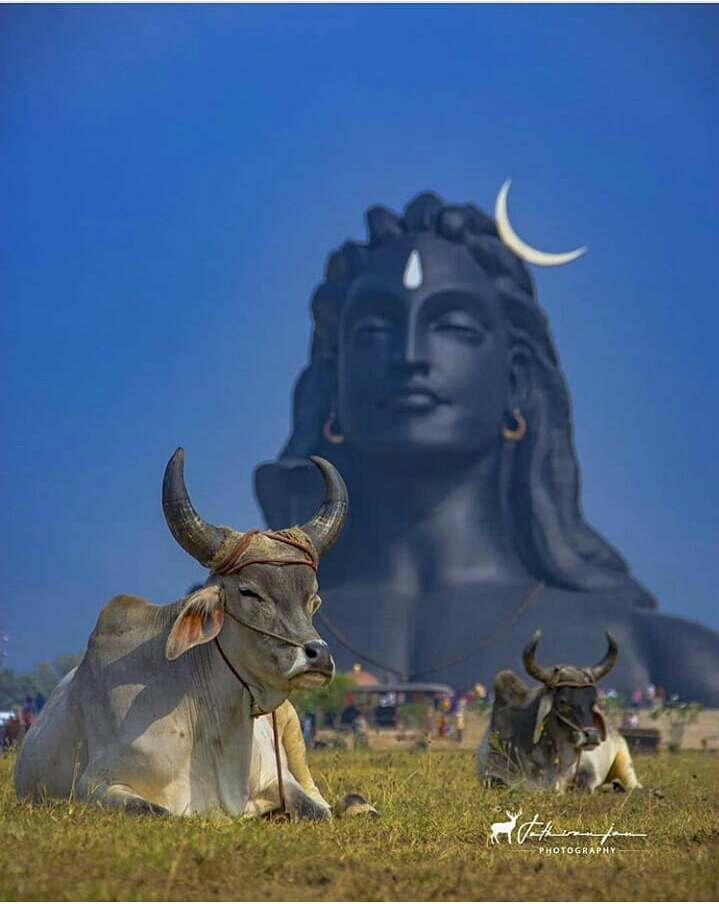 adhiyogi