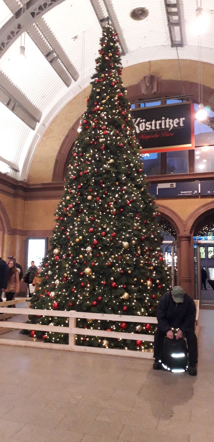xmas trees
