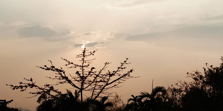 sunset