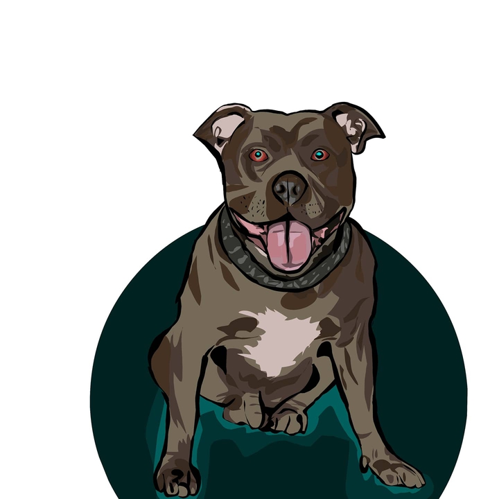 pitbull