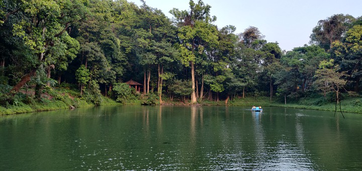 Nature