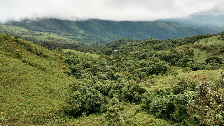 The Valley Floor