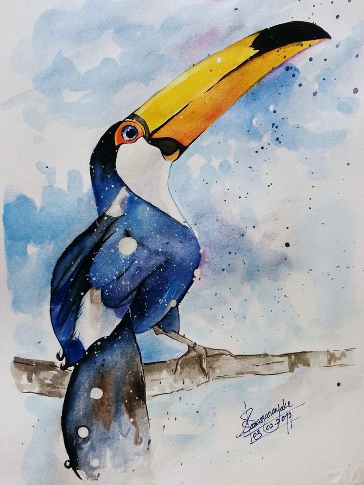 bird