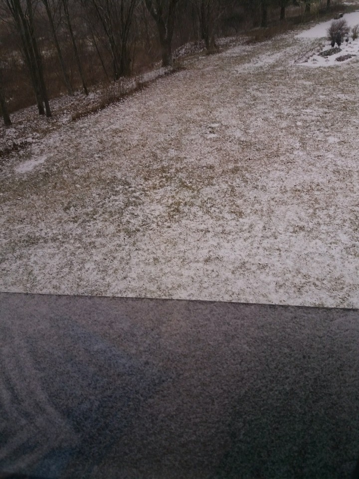snow