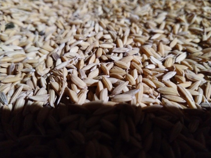 grain