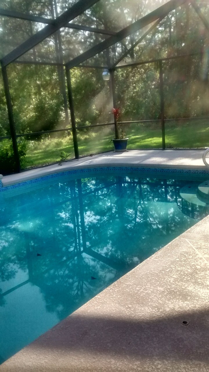 Pool Fun