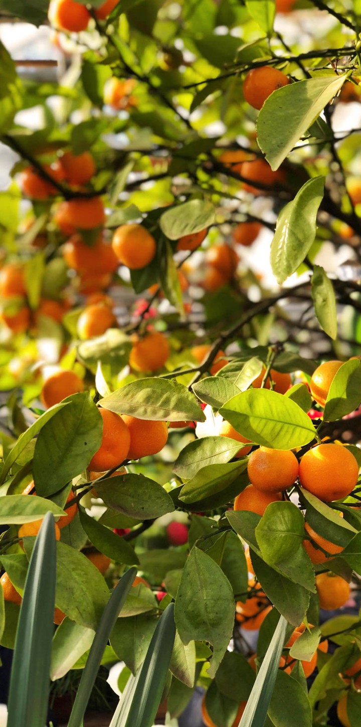 ♥