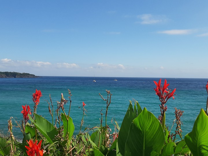 jeju