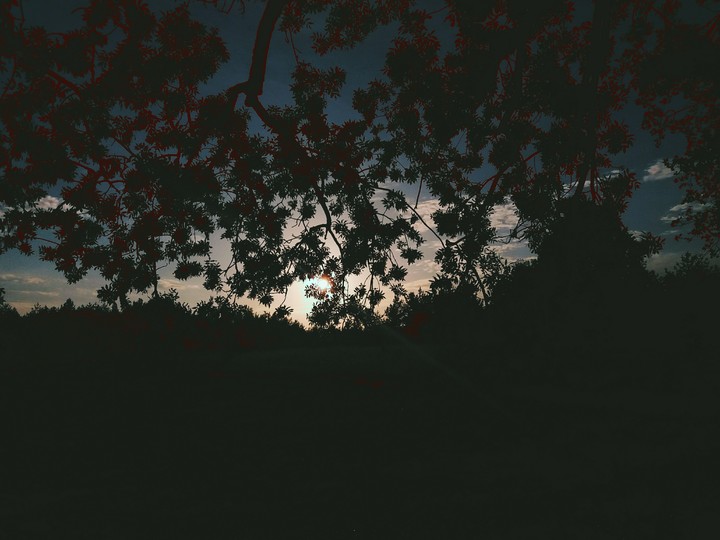sunset