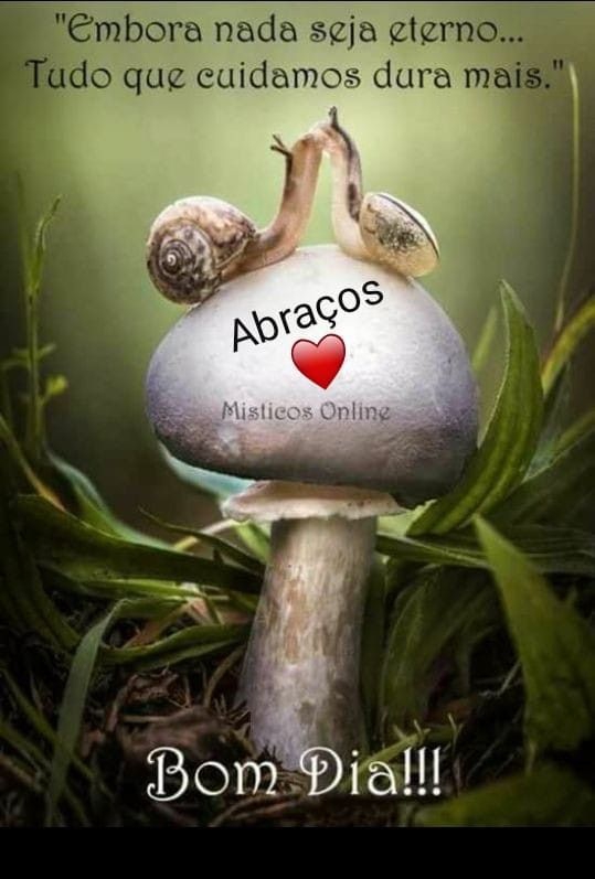 Aos amigos do coração bjs.