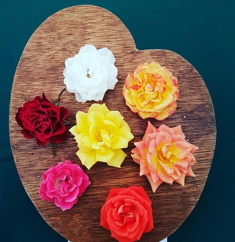 Roses