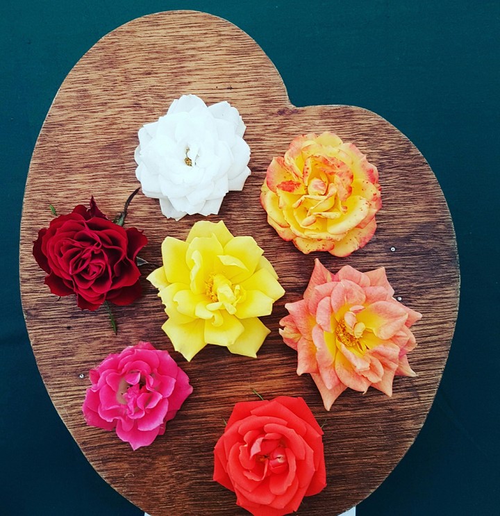 Roses
