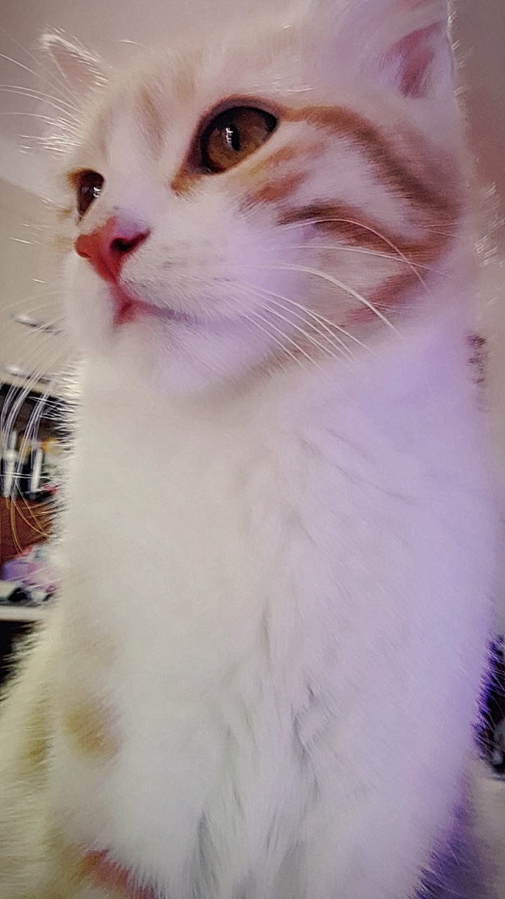 Benny