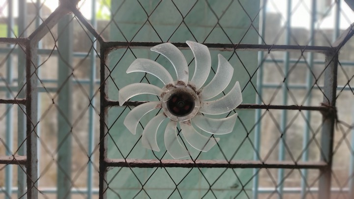 Electronic ? Sunflower