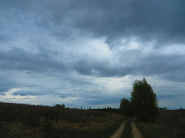 feeling of spaciousness