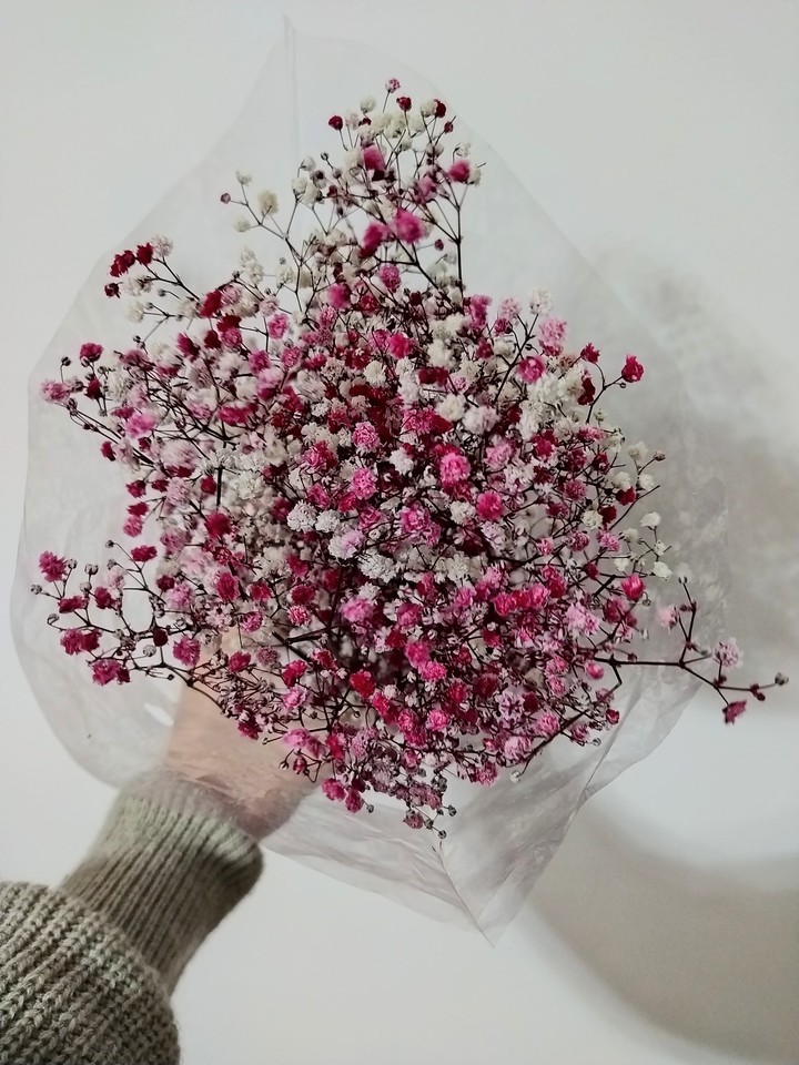 Baby Rose ?