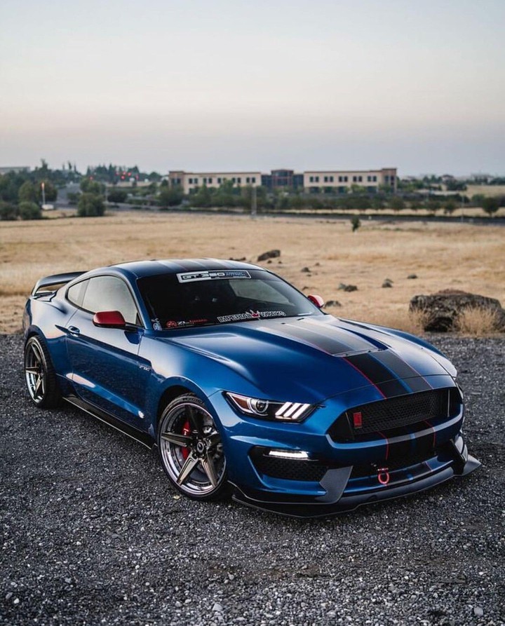 Mustang