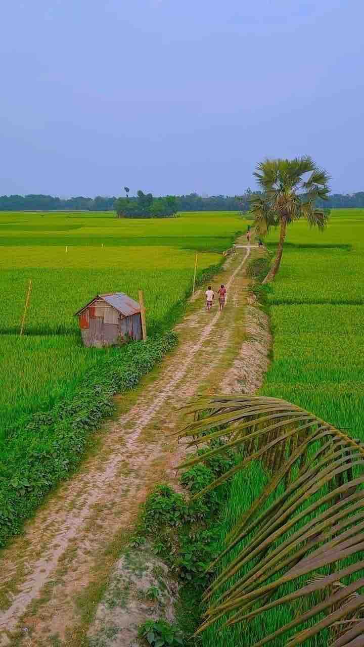 গ্রামীণ ??