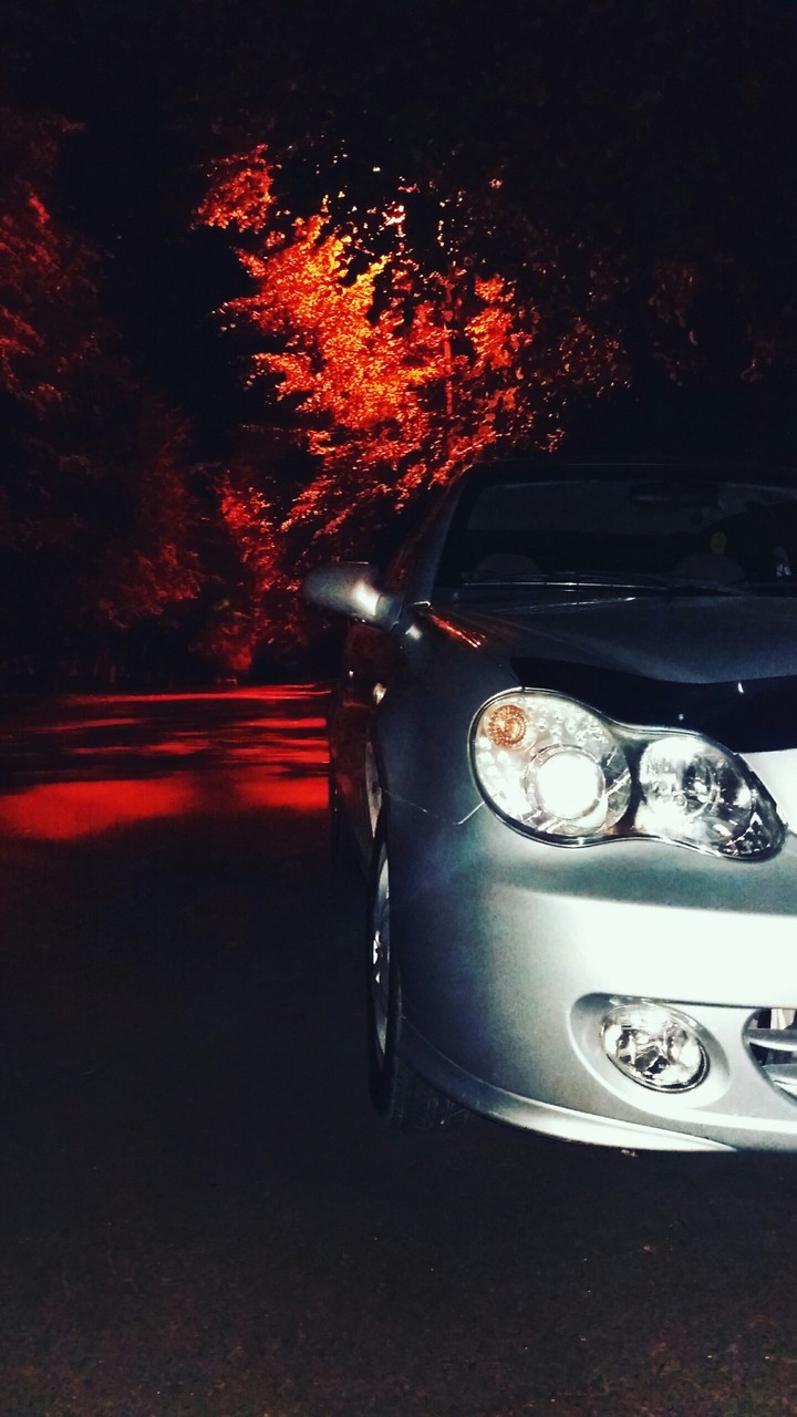 Car autumn