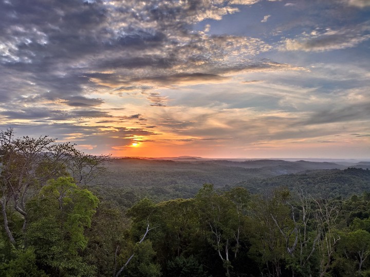 Sunset at Sea forest - Mondolkiri