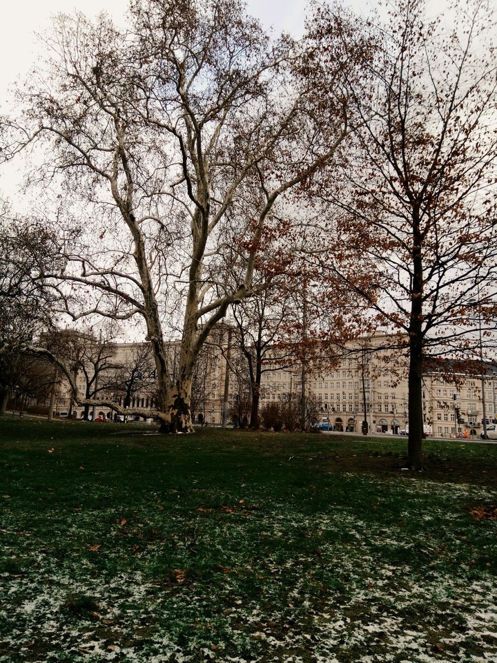 winter in leipzig