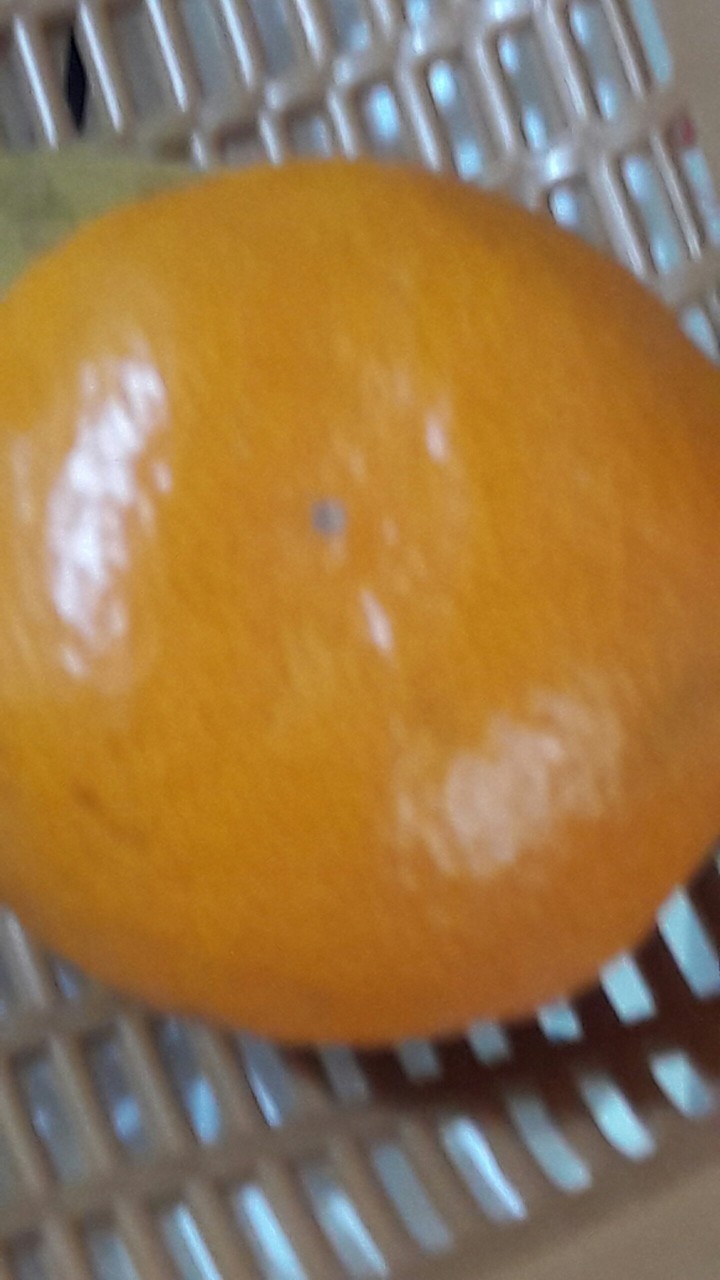 균