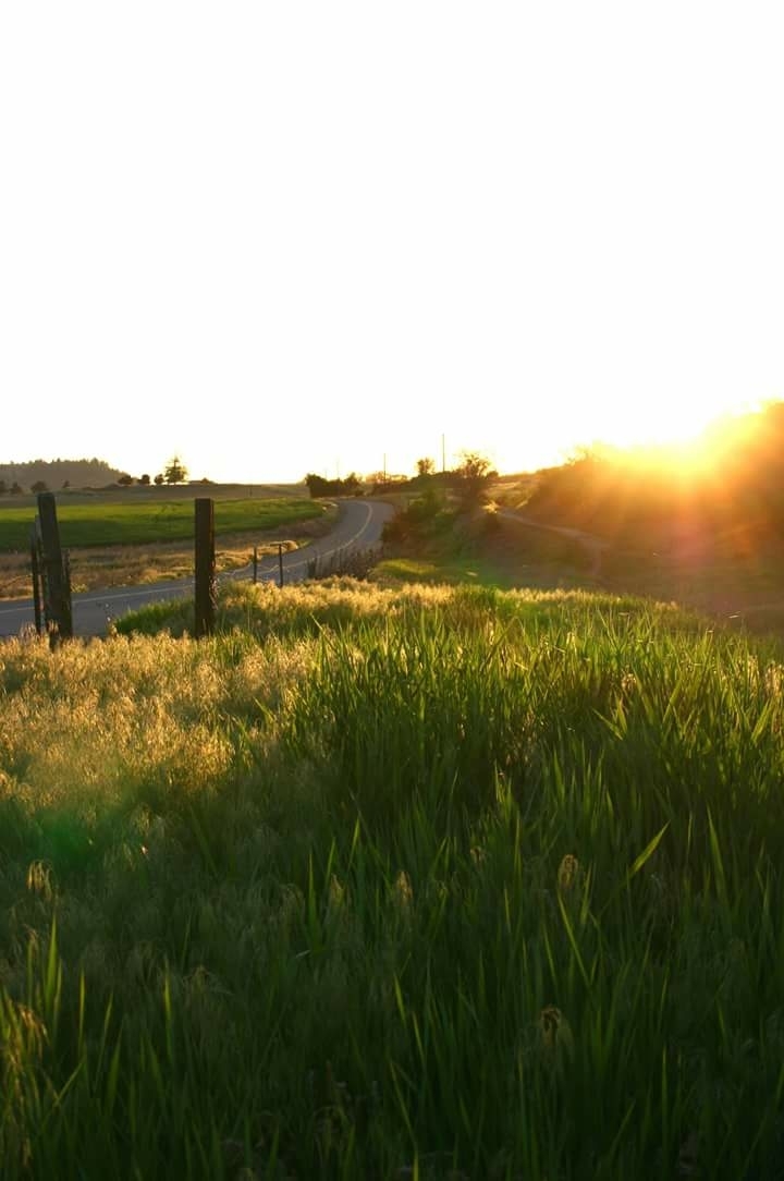 Take Me Home Country Roads