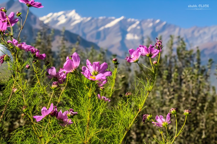 Mountains~CLICK~