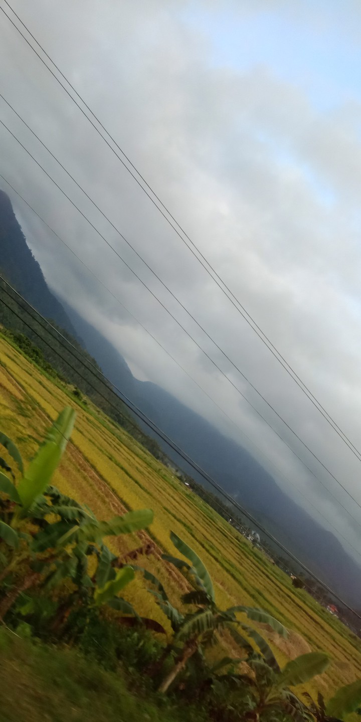 province