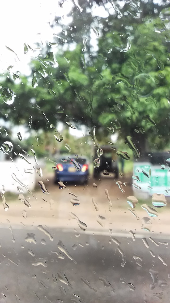 Rain
