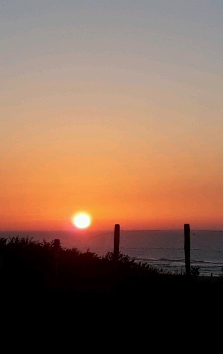 Sunshine 