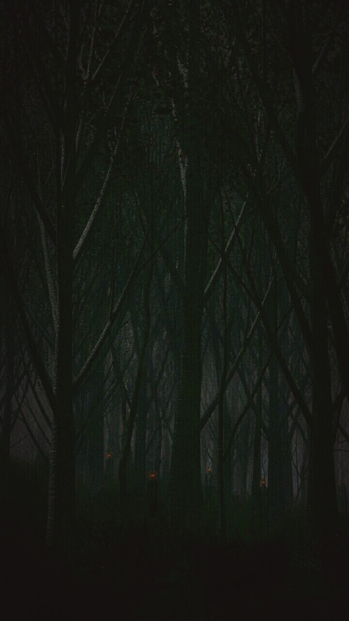 wallpaper