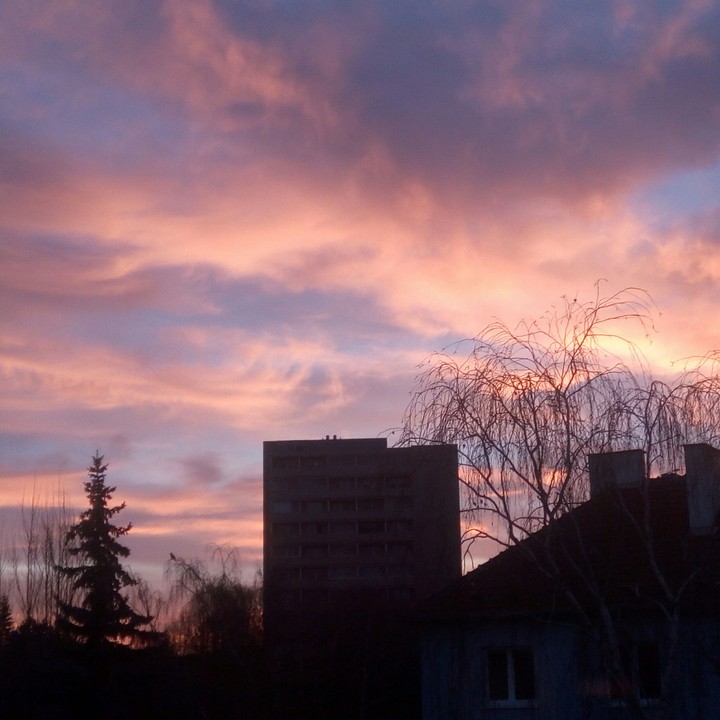 Morning