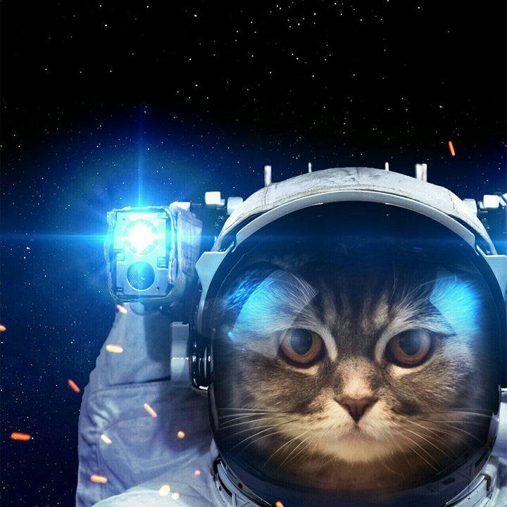 astronaut cat